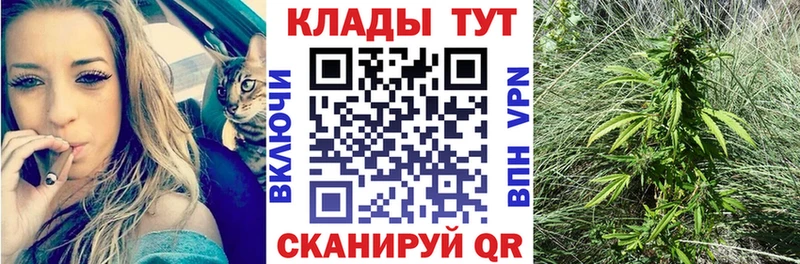 Купить наркотик аптеки Беломорск Галлюциногенные грибы  ГАШ  Амфетамин  Каннабис  Кокаин 