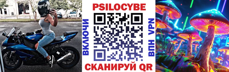 Галлюциногенные грибы Psilocybine cubensis  Беломорск 